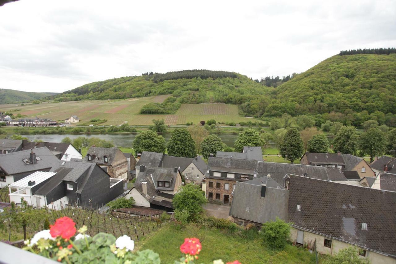 Ferienwohnung Moselblick-Stein ヴァルヴィヒ エクステリア 写真